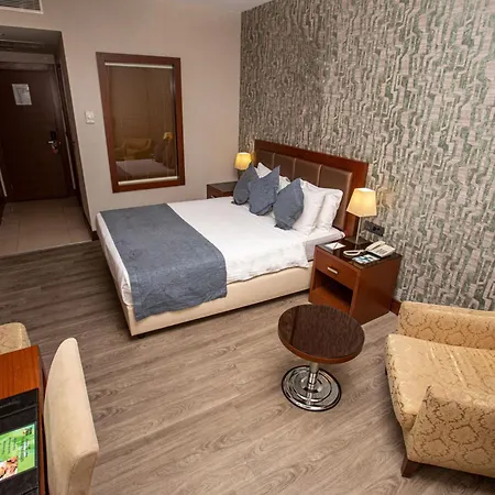 Hotel The Park Merter Stambuł